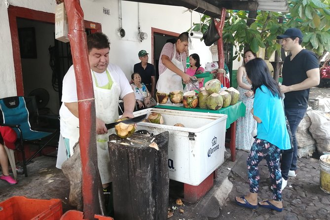 1 to 6 Passengers Vallarta Private City Tour - Parroquia de Nuestra Señora de Guadalupe and the Old Town feeling