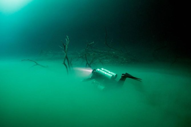 2 cenote divings (including one deep diving) for advanced divers in Tulum - Dos Ojos cenote: limestone formations, bat cave area, and light play