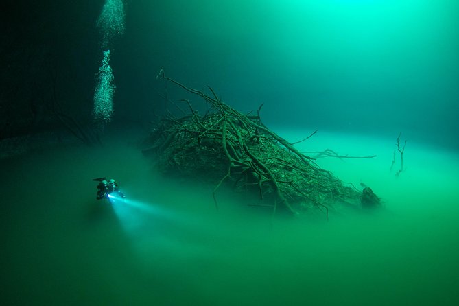 2 cenote divings (including one deep diving) for advanced divers in Tulum - Guides and briefings: what “good care” looks like in practice
