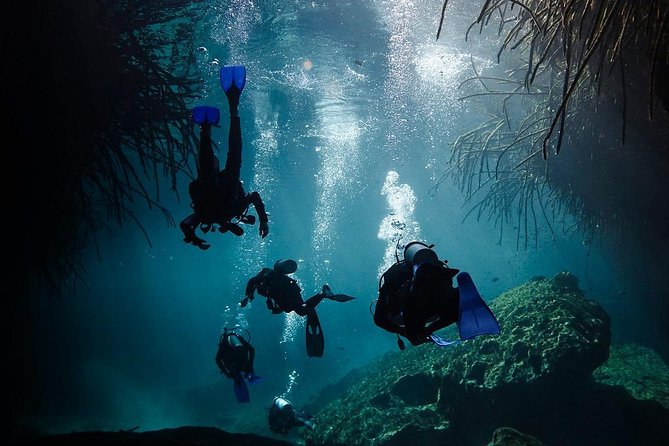 2 cenote divings (including one deep diving) for advanced divers in Tulum - Gear, fees, and transportation: what you are really paying for