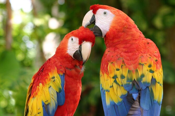 2 Day Combo Tour, Xcaret, Xel-Ha, Xplor and Chichen Itza Option - Hotel Pickup That Works Best When You Confirm Everything