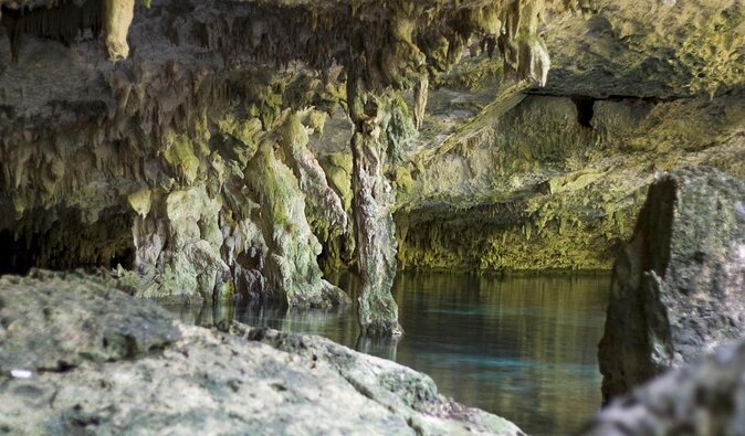 2 dives in Cenote Dos ojos Certified Divers - Which cenotes you might visit: Dos Ojos plus Casa or Gran