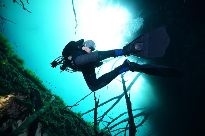 2 dives in Cenote Dos ojos Certified Divers - Getting to Agua Clara in Tulum, and what you should bring