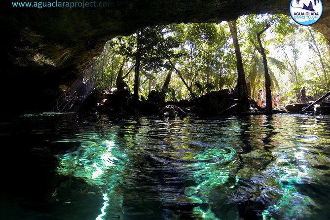 2 dives in Cenote Dos ojos Certified Divers - Who this tour is best for (and who should think twice)
