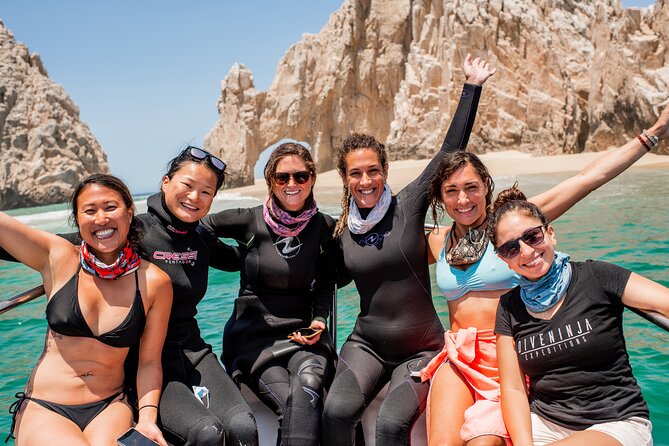 2 Dives in the Cabo Marine Park - Land’s End sea lions: the wildlife factor that makes Cabo feel real