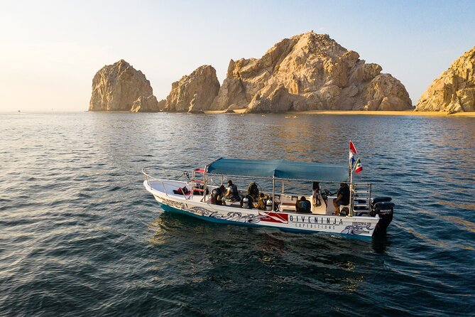 2 Dives in the Cabo Marine Park - Safety, staffing, and why the small-group rule matters