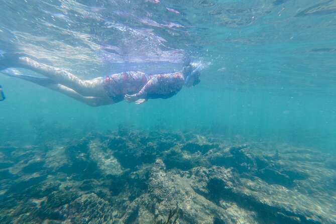 2-Hour Snorkeling in Two Spots of Tulum's Reef - Two reef stops: turtles and stingrays, then fish and coral