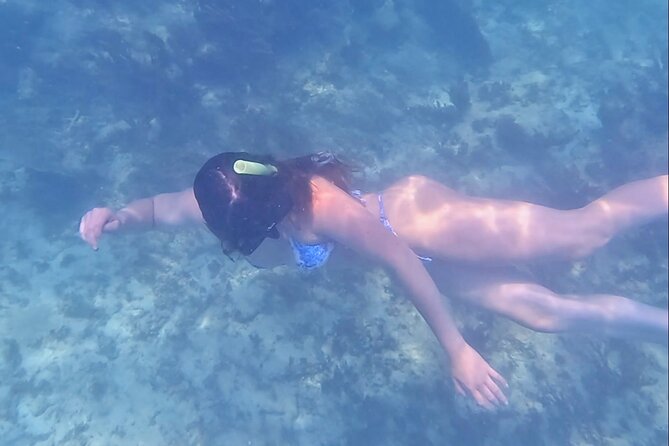 2-Hour Snorkeling in Two Spots of Tulum's Reef - Getting to the beach: meeting spot clarity and park zones