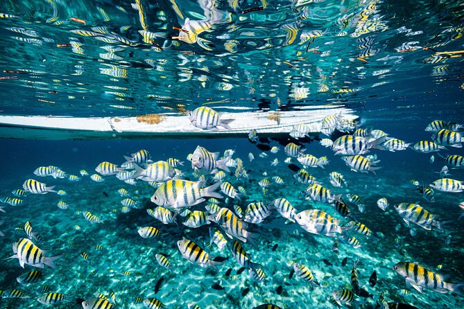 2 in 1 Parasail Cancun and Jet ski - Timing and Group Size: What “1.5 Hours” Usually Means