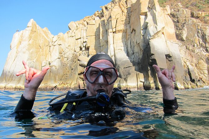 2 Tank Boat Dives for Certified Divers - From Hotel Alba Suites to the Water in About Four Hours