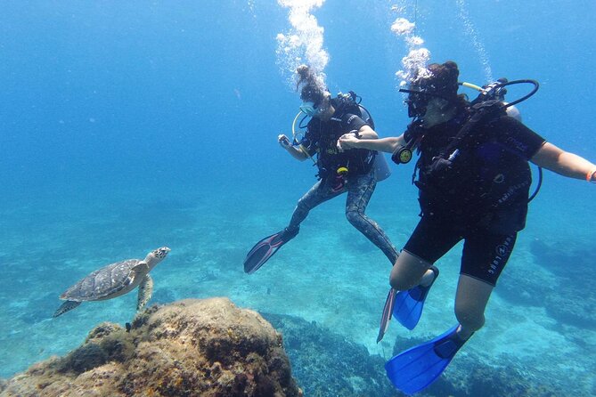 2 Tank Cozumel Reef Boat Dives - Two tanks, one morning plan: timing that actually works