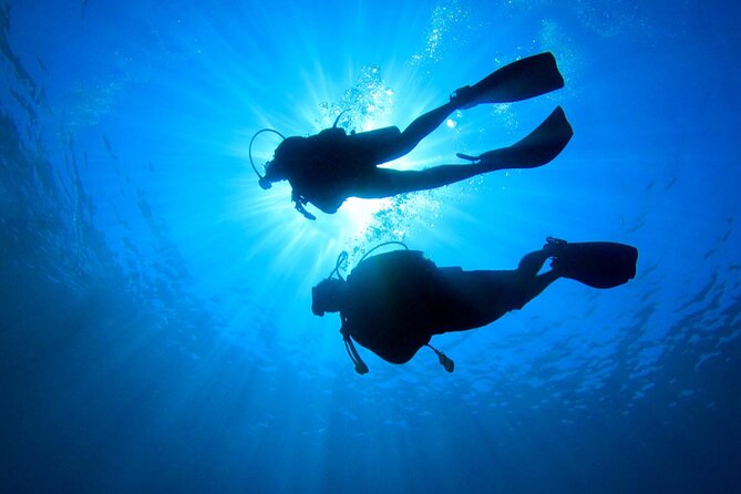 2 Tank Dive (for certified divers) - The Finger Reefs of the Meso-American Barrier Reef