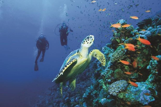 2 Tank Dive in Cozumel - Getting ready at Aqua Excursions: where the day clicks into place