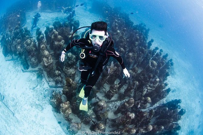 2 Tank Dives MUSA and Manchones reef (Certified divers) - MUSA plus Manchones: the smart two-site plan