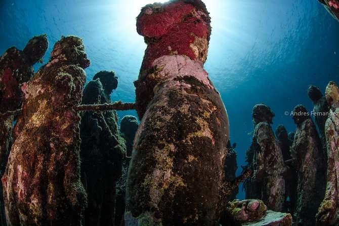 2 Tank Dives MUSA and Manchones reef (Certified divers) - Gear, tanks, weights, and the kind of guidance that matters