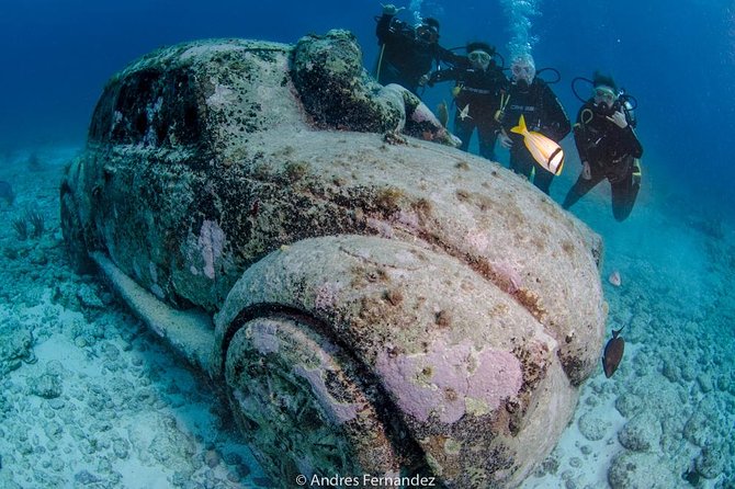 2 Tank Dives MUSA and Manchones reef (Certified divers) - Who should book this Isla Mujeres two-tank morning