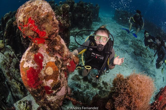 2 Tank Dives MUSA and Manchones reef (Certified divers) - Checking in at Squalo Adventures (Plaza Isla Mujeres)