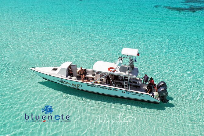 2 Tank Morning Dive: Scuba Diving in Cozumel - Key Points Before You Go