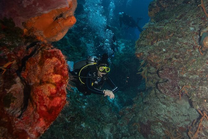 2 Tank Morning Dive: Scuba Diving in Cozumel - Surface Interval on the Boat: Lunch, Shade, and a Real Bathroom Break