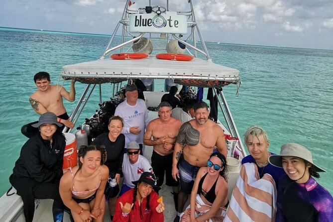 2 Tank Morning Dive: Scuba Diving in Cozumel - Who Should Book This, and Who Might Want a Different Plan