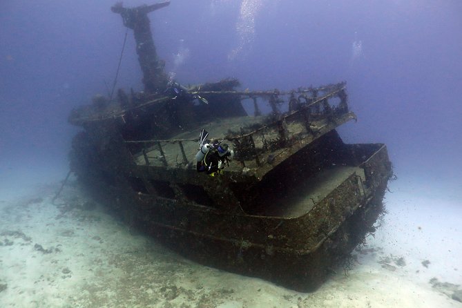 2-Tank Morning or Afternoon Dives in Playa del Carmen certified Divers Only - Should You Book This 2-Tank Scuba Session in Playa del Carmen?
