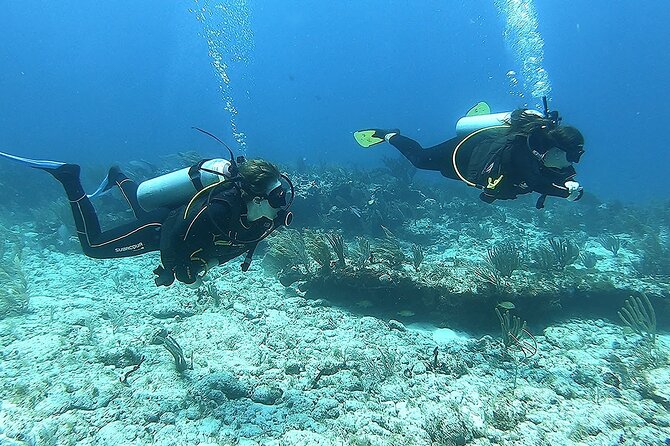 2 Tank Reef Dive in Mexico - First underwater session at Puerto Morelos Reef National Park