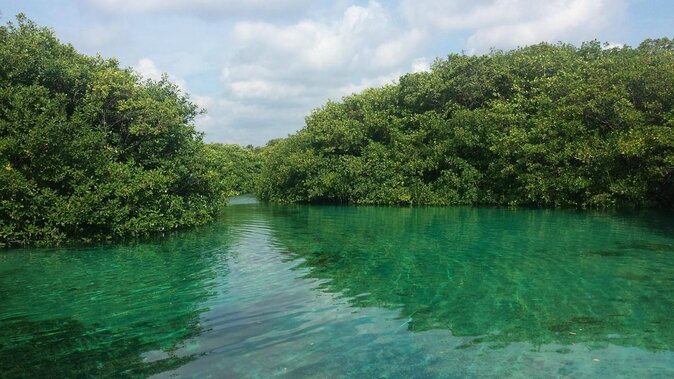 2 tanks Cenote Diving Adventure in Tulum for Certified Divers - Key points to know before you go