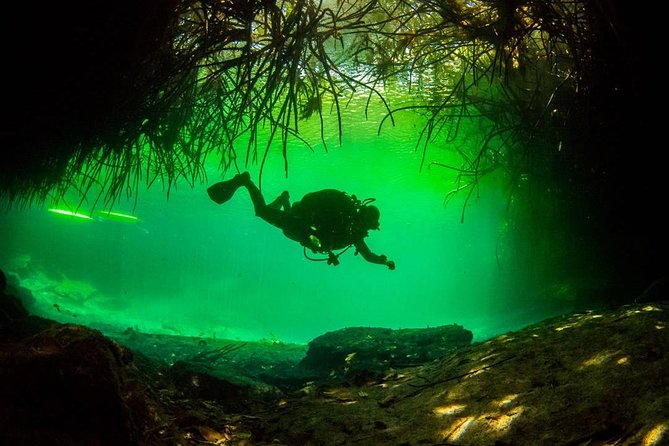 2 tanks Cenote Diving Adventure in Tulum for Certified Divers - Casa Cenote: your first easy 40 minutes in open air