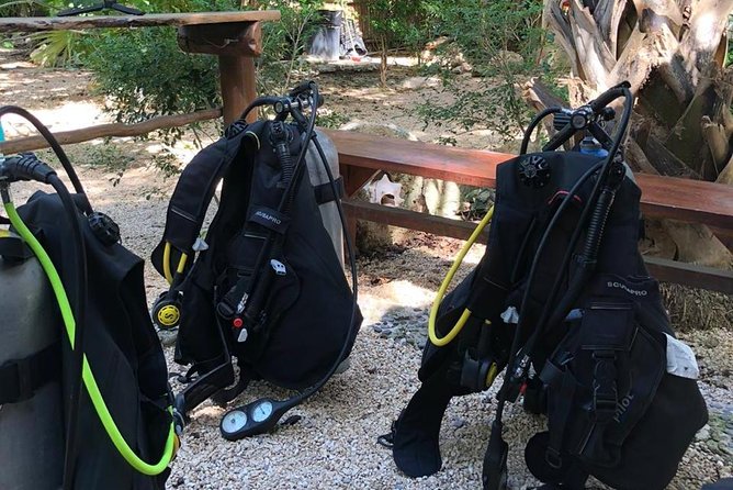 2 tanks Cenote Diving Adventure in Tulum for Certified Divers - Dos Ojos cavern-style time: formations, light plays, and bat cave vibes