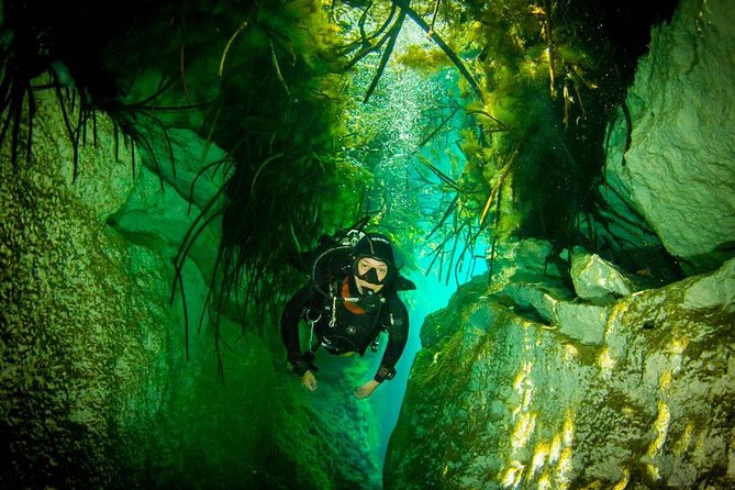 2 tanks Cenote Diving Adventure in Tulum for Certified Divers - What the instruction really changes (and who makes it work)