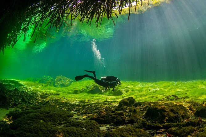 2 tanks Cenote Diving Adventure in Tulum for Certified Divers - Certification rules and who this is best for