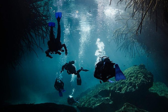 2 tanks Cenote Diving Adventure in Tulum for Certified Divers - Price and value: what $200 includes, and what it doesn’t