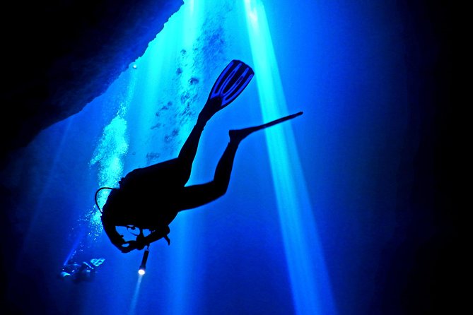 2 tanks Cenote Diving Adventure in Tulum for Certified Divers - Timing and logistics: how to plan your day in Tulum