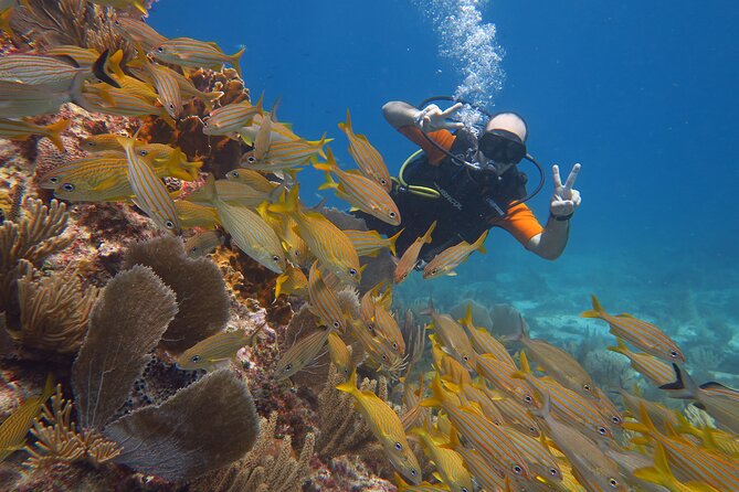2 Tanks Dives Cancun Underwater Museum for Certified Divers - Safety, Medical Checks, and the Six-Person Advantage