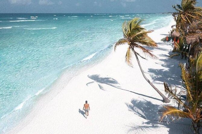 2x1 Tour: Isla Contoy, Isla Mujeres, Open Bar, Lunch and Transfers - Isla Mujeres Free Time for an Island-Style Break
