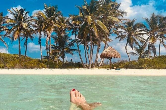 2x1 Tour: Isla Contoy, Isla Mujeres, Open Bar, Lunch and Transfers - Open Bar on Board and Lunch That Keeps the Day Worth It