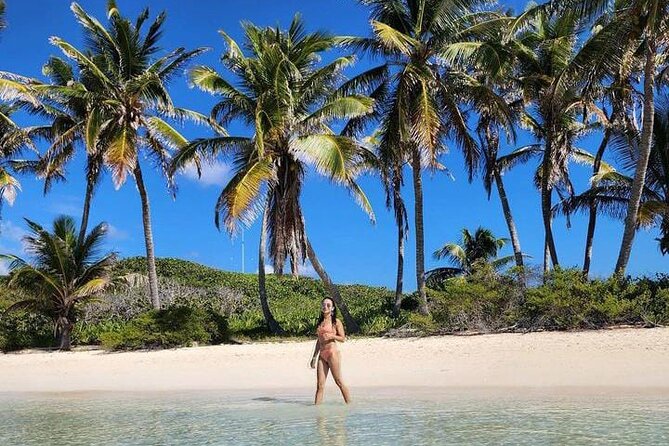 2x1 Tour: Isla Contoy, Isla Mujeres, Open Bar, Lunch and Transfers - Price and What Adds Value (and What Costs Extra)