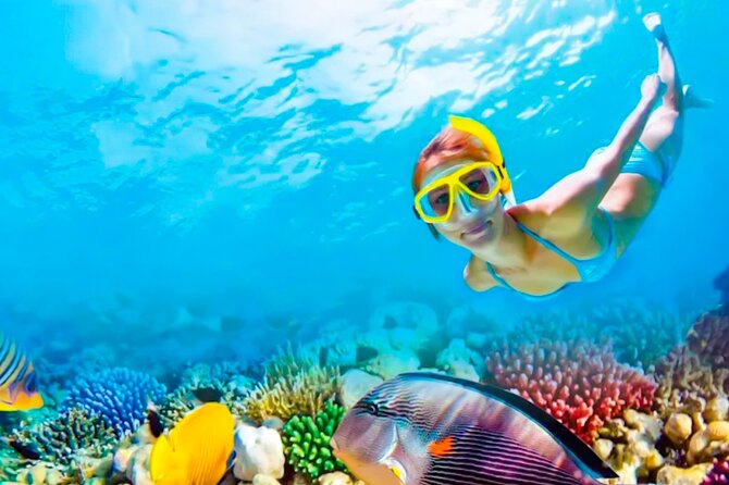 2x1 Tour: Isla Contoy, Isla Mujeres, Open Bar, Lunch and Transfers - Isla Contoy National Park Snorkeling on a Protected Reef