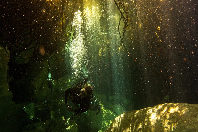 3 Cenote Dives - Casa & Dos Ojos - Dos Ojos Cenote: Two Separate Sessions, More to See