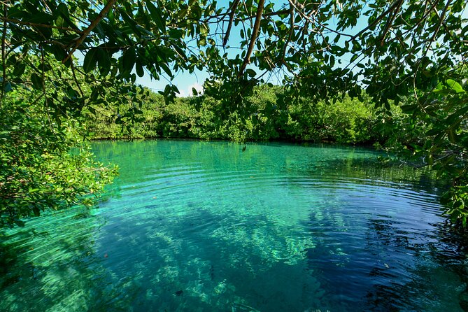 3 Cenote Dives - Casa & Dos Ojos - Breakfast, Lunch, and Snacks Built Into the Day
