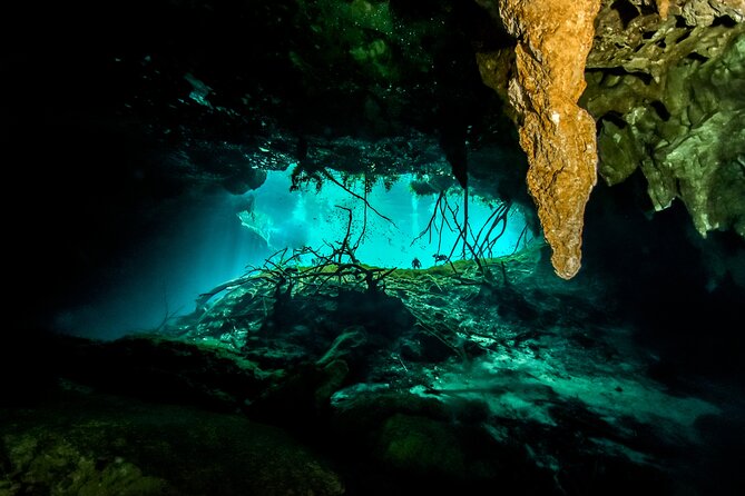 3 Cenote Dives - Casa & Dos Ojos - Safety, PADI Instruction, and the Small-Group Advantage