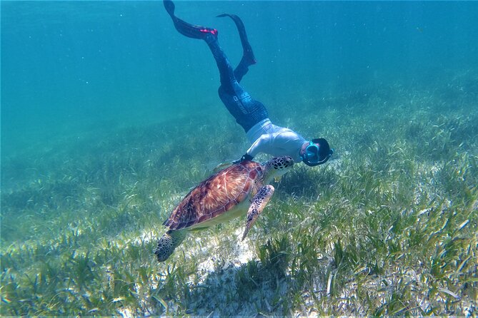 3 Hour Costa Maya Snorkeling Excursion - La Leyenda ECO-TOURS - Finding La Leyenda: the easy start behind Hotel 40 Cañones