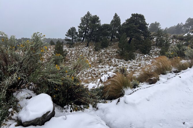 3 Hour Private Hike: Mountain Nevado Toluca from Mexico City - Who this private Nevado de Toluca hike is best for