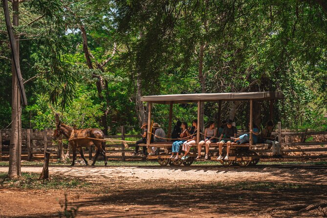 3 Hour Tour in The Sotuta de Peón Live Museum - Restaurante KIH and the Yucatecan sampler dish