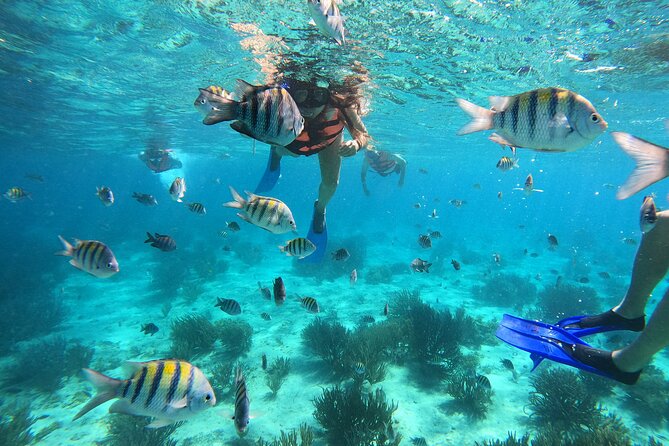 3 Hours VIP Semiprivate Tour Isla Mujeres Full Snorkeling Experience - Key highlights to know before you go