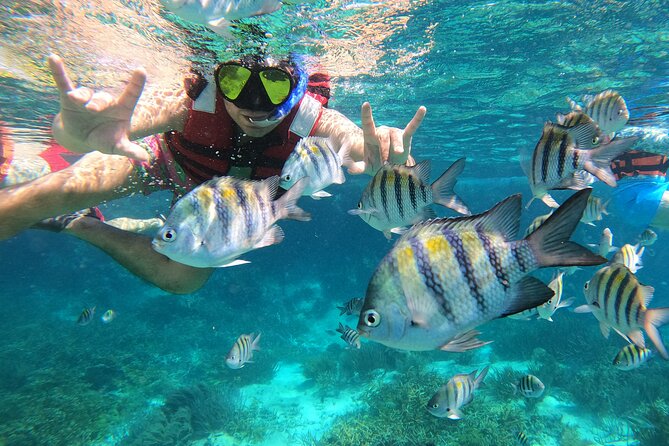 3 Hours VIP Semiprivate Tour Isla Mujeres Full Snorkeling Experience - Getting to the meeting point and boarding a small boat