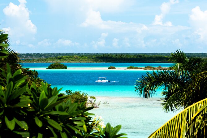 3 hr Pontoon Tour with access to Beach Club and Free Kayaks - What You Get on the Boat: Fruit, Natural Drinks, and Guest-Noted Beer