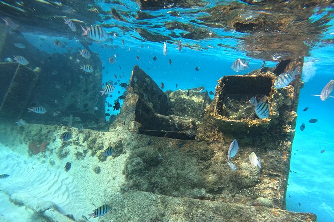 3 in 1 Jungle Tour Adventure Cancun - The briefing and your own speedboat through Nichupté Lagoon