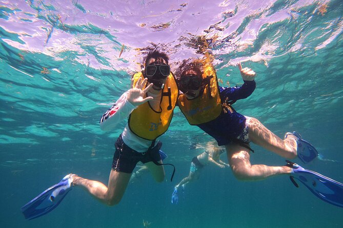 3 in 1 Jungle Tour Adventure Cancun - Snorkeling the Mexican Caribbean: what you’re looking for