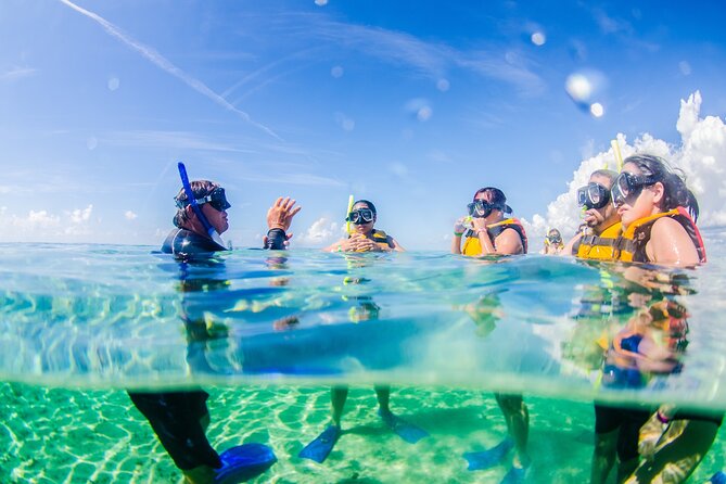 3-in-1 Puerto Morelos: Snorkeling, Tequila & Beachside Lunch - Great Maya Reef Snorkeling: Sea Turtles and Rays Without the Full-Day Commitment